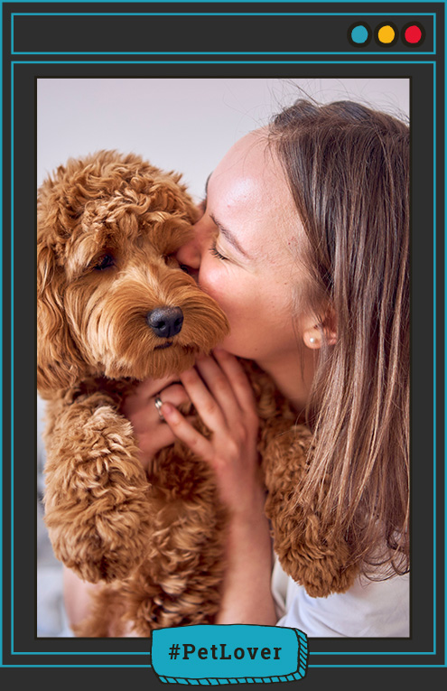  ¿qué significa cuando mi perro se emociona al verme?